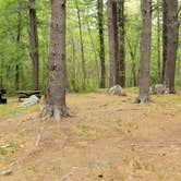 Review photo of Lorraine Park Campground — Harold Parker State Forest by Jean C., May 27, 2020