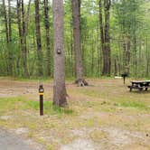 Review photo of Lorraine Park Campground — Harold Parker State Forest by Jean C., May 27, 2020