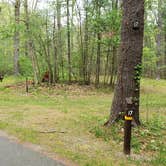 Review photo of Lorraine Park Campground — Harold Parker State Forest by Jean C., May 27, 2020