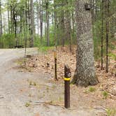 Review photo of Lorraine Park Campground — Harold Parker State Forest by Jean C., May 27, 2020