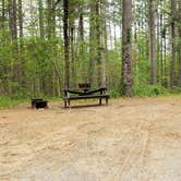 Review photo of Lorraine Park Campground — Harold Parker State Forest by Jean C., May 27, 2020