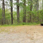 Review photo of Lorraine Park Campground — Harold Parker State Forest by Jean C., May 27, 2020