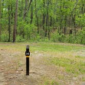 Review photo of Lorraine Park Campground — Harold Parker State Forest by Jean C., May 27, 2020