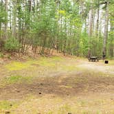 Review photo of Lorraine Park Campground — Harold Parker State Forest by Jean C., May 27, 2020