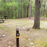 Review photo of Lorraine Park Campground — Harold Parker State Forest by Jean C., May 27, 2020