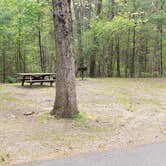 Review photo of Lorraine Park Campground — Harold Parker State Forest by Jean C., May 27, 2020