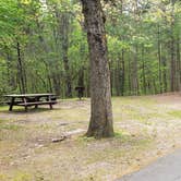 Review photo of Lorraine Park Campground — Harold Parker State Forest by Jean C., May 27, 2020