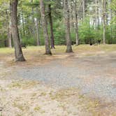 Review photo of Lorraine Park Campground — Harold Parker State Forest by Jean C., May 27, 2020