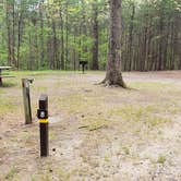 Review photo of Lorraine Park Campground — Harold Parker State Forest by Jean C., May 27, 2020