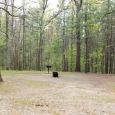 Review photo of Lorraine Park Campground — Harold Parker State Forest by Jean C., May 27, 2020