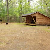 Review photo of Lorraine Park Campground — Harold Parker State Forest by Jean C., May 27, 2020