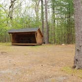 Review photo of Lorraine Park Campground — Harold Parker State Forest by Jean C., May 27, 2020