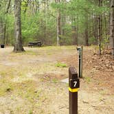 Review photo of Lorraine Park Campground — Harold Parker State Forest by Jean C., May 27, 2020