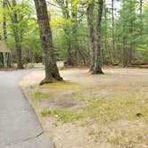 Review photo of Lorraine Park Campground — Harold Parker State Forest by Jean C., May 27, 2020