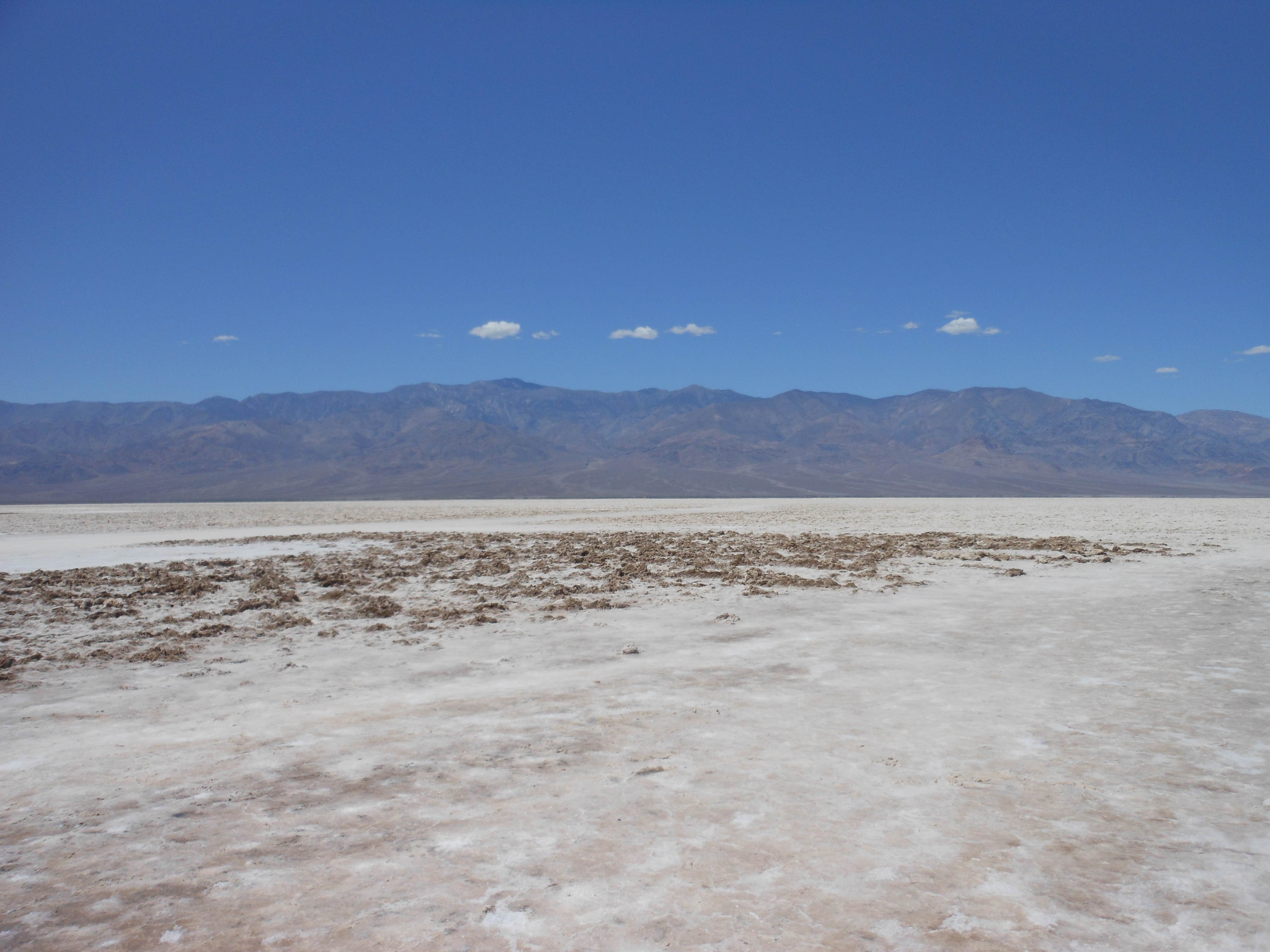 Camper submitted image from Wildrose Campground — Death Valley National Park - 4