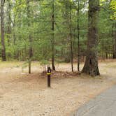 Review photo of Lorraine Park Campground — Harold Parker State Forest by Jean C., May 27, 2020