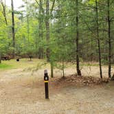 Review photo of Lorraine Park Campground — Harold Parker State Forest by Jean C., May 27, 2020