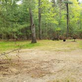 Review photo of Lorraine Park Campground — Harold Parker State Forest by Jean C., May 27, 2020