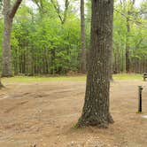 Review photo of Lorraine Park Campground — Harold Parker State Forest by Jean C., May 27, 2020