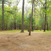 Review photo of Lorraine Park Campground — Harold Parker State Forest by Jean C., May 27, 2020