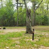 Review photo of Lorraine Park Campground — Harold Parker State Forest by Jean C., May 27, 2020