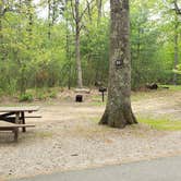 Review photo of Lorraine Park Campground — Harold Parker State Forest by Jean C., May 27, 2020