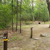 Review photo of Lorraine Park Campground — Harold Parker State Forest by Jean C., May 27, 2020