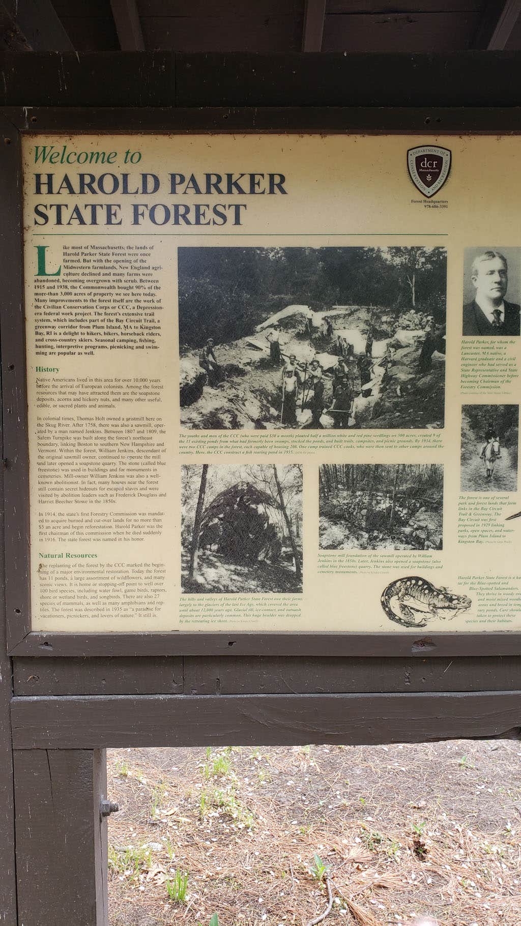 Camper submitted image from Lorraine Park Campground — Harold Parker State Forest - 5
