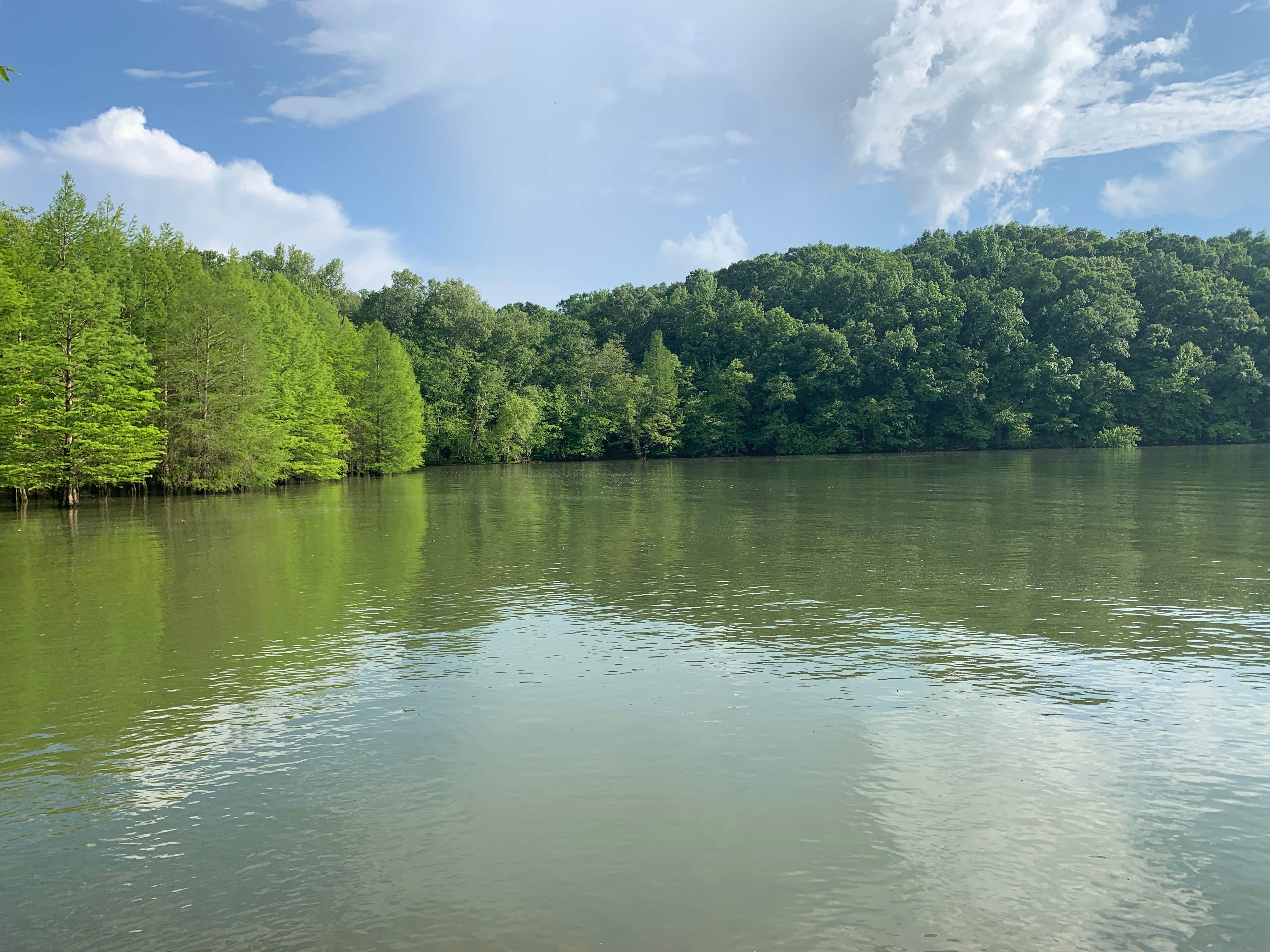 Camper-submitted photo at Jones Creek near Dresden, TN