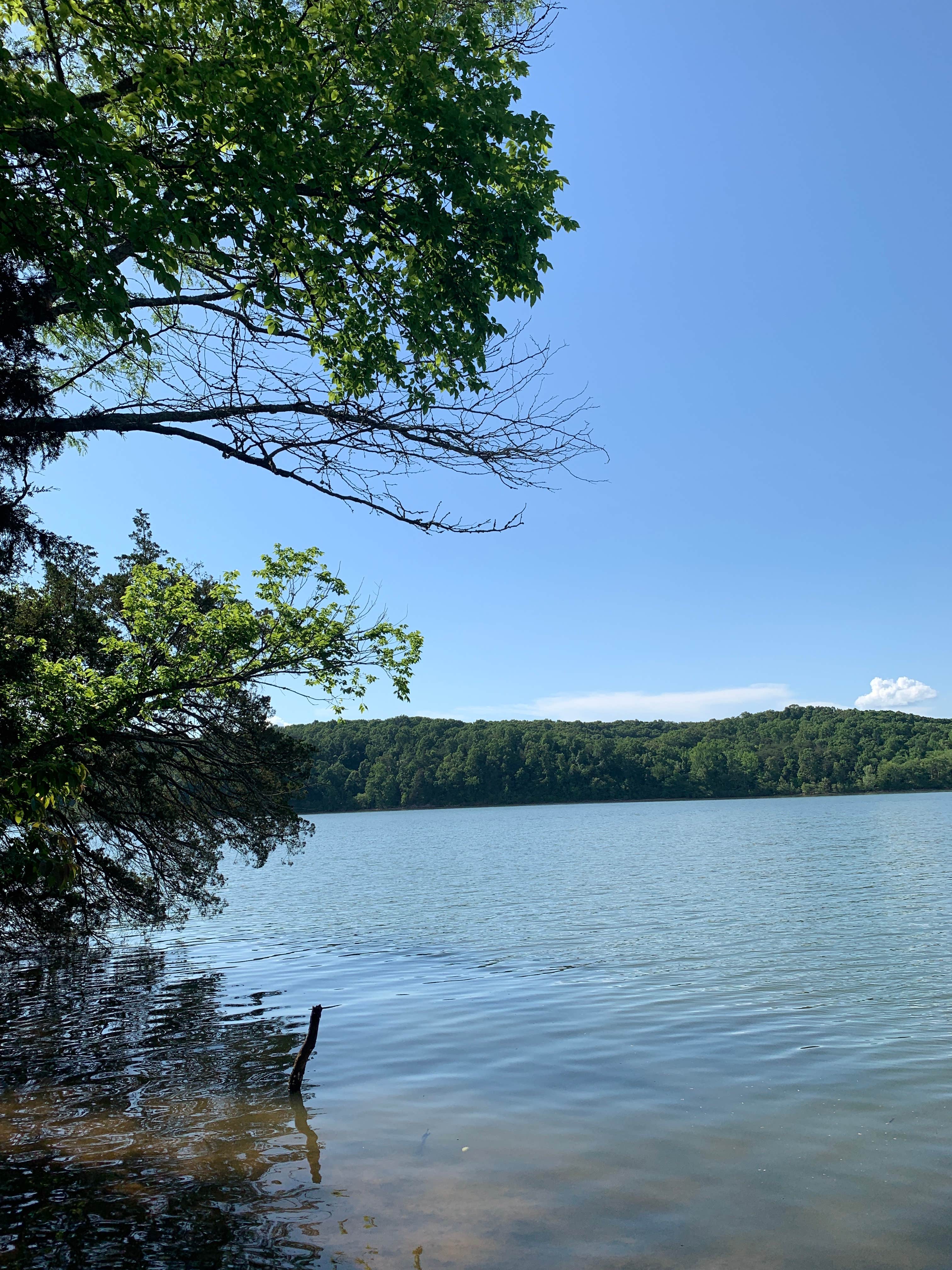 Camper-submitted photo at Jones Creek near Dresden, TN