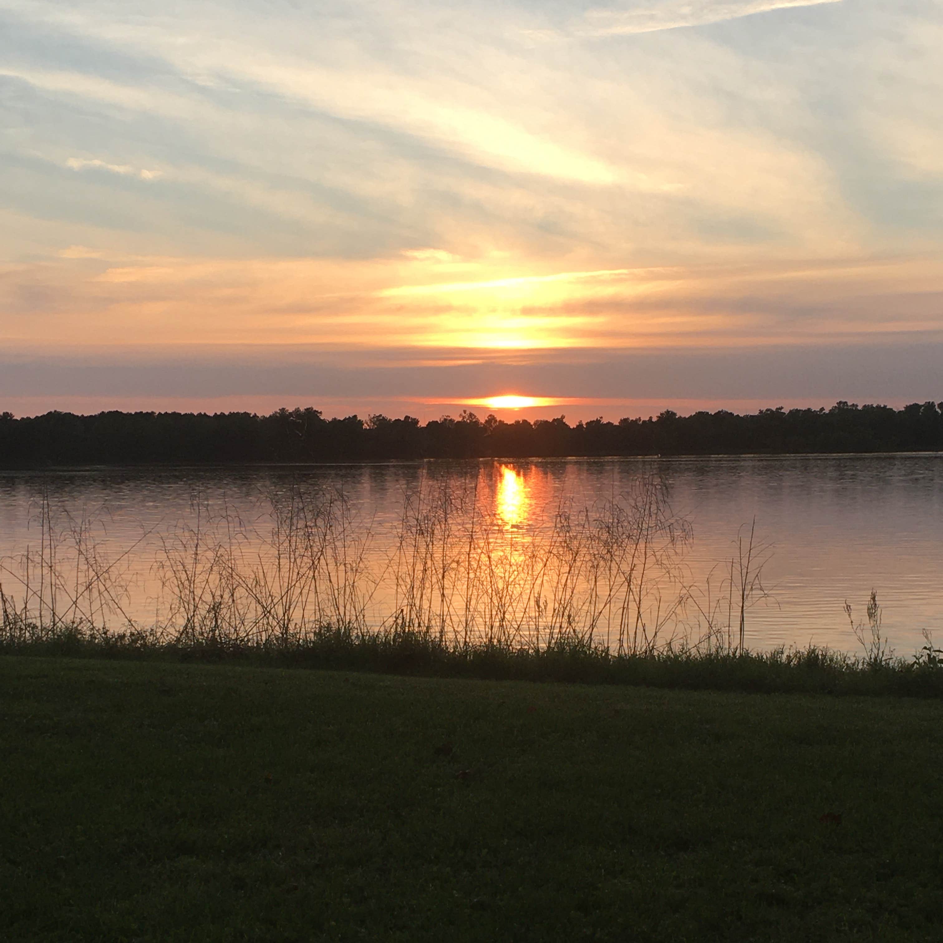 Willow Beach Camping The Dyrt