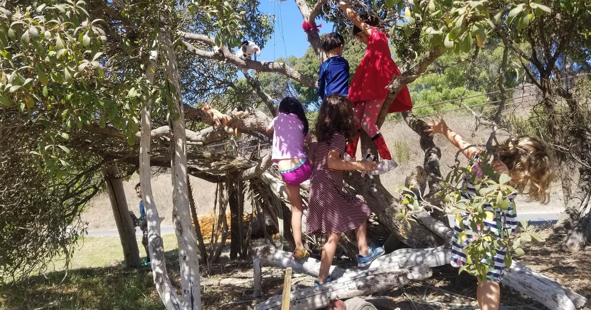 Refugio State Beach Campground