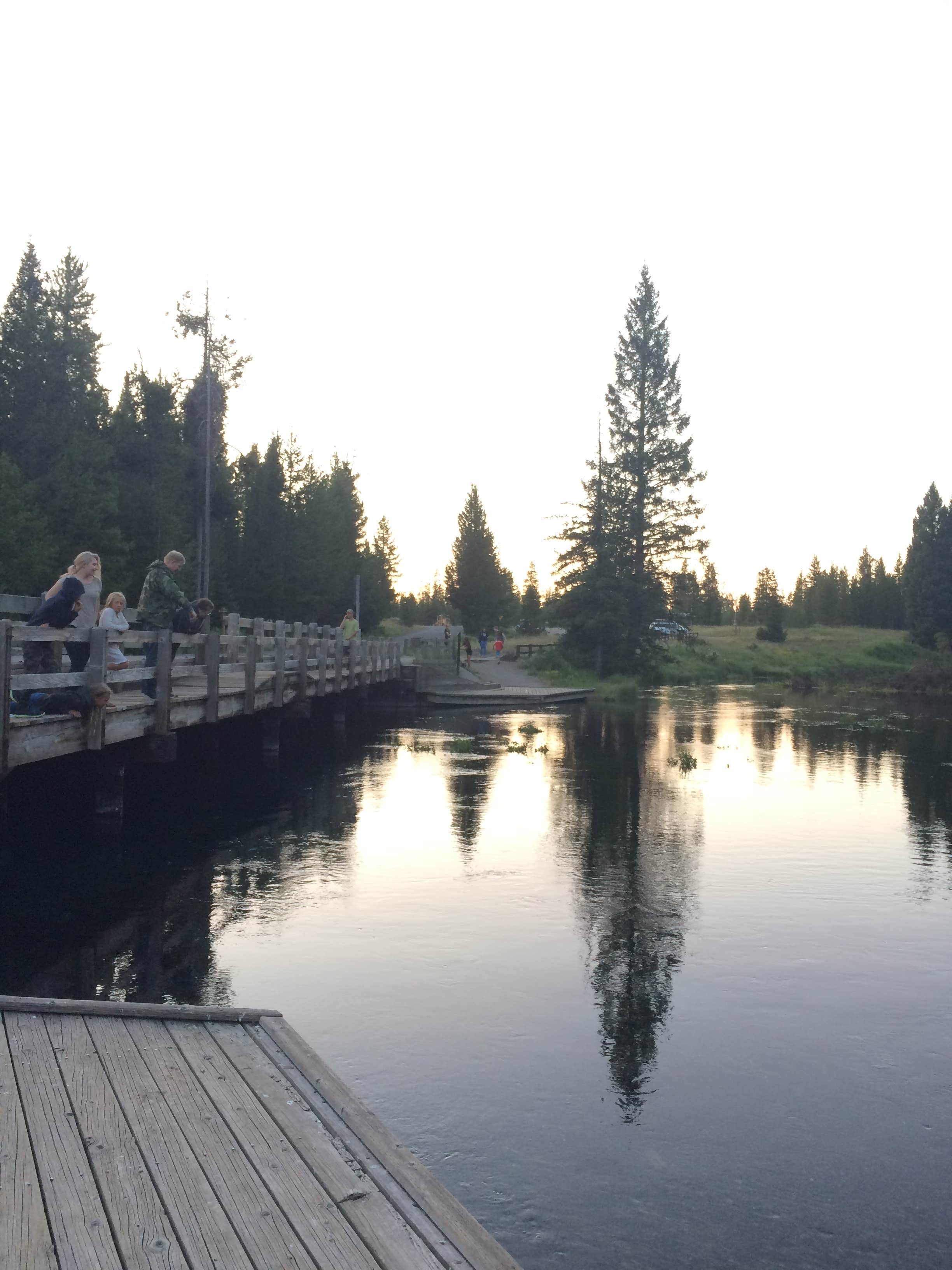 Camper submitted image from Big Springs Campground - 5