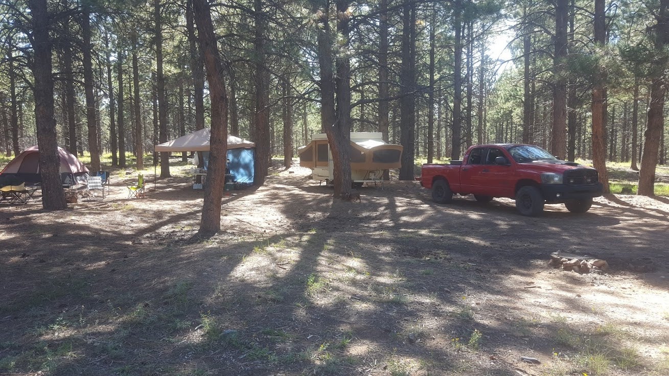 Camper submitted image from FR100 Dispersed Wilderness Camping - 5