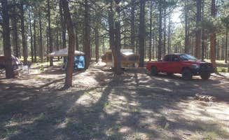 Krista Z.'s photo at FR100 Dispersed Wilderness Camping in Arizona
