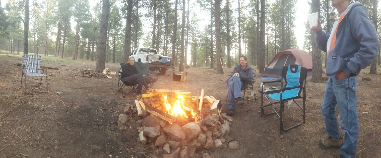 Camper submitted image from FR100 Dispersed Wilderness Camping - 4