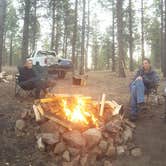Review photo of FR100 Dispersed Wilderness Camping by Krista Z., October 1, 2017