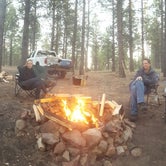 Review photo of FR100 Dispersed Wilderness Camping by Krista Z., October 1, 2017