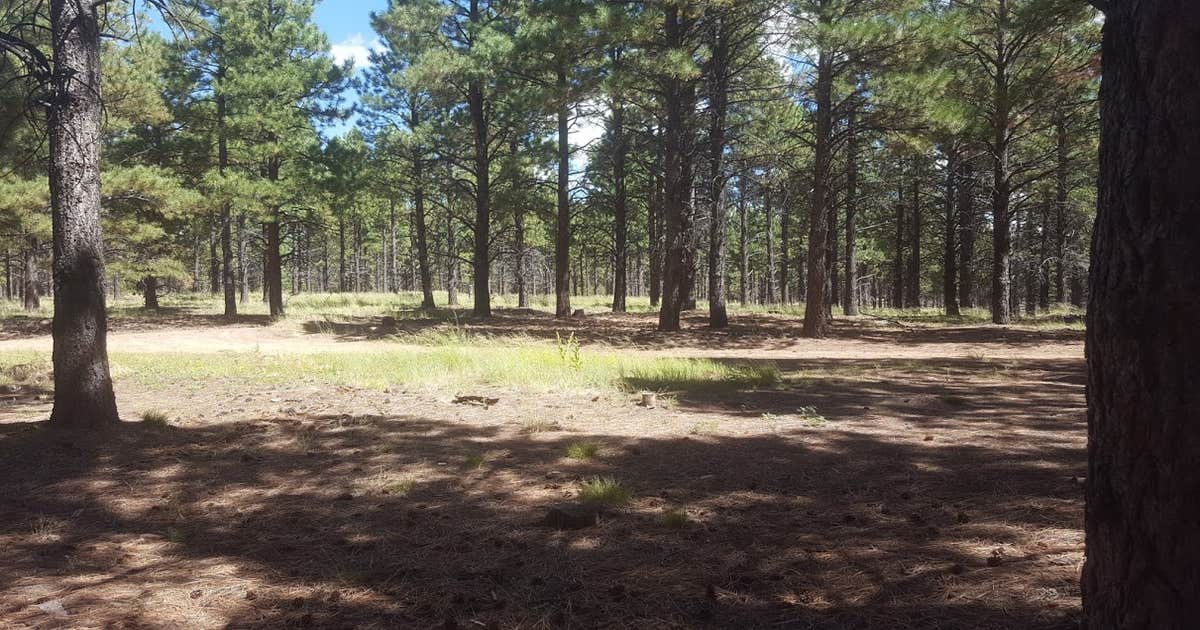 FR100 Dispersed Wilderness Camping