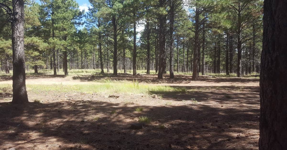 FR100 Dispersed Wilderness Camping