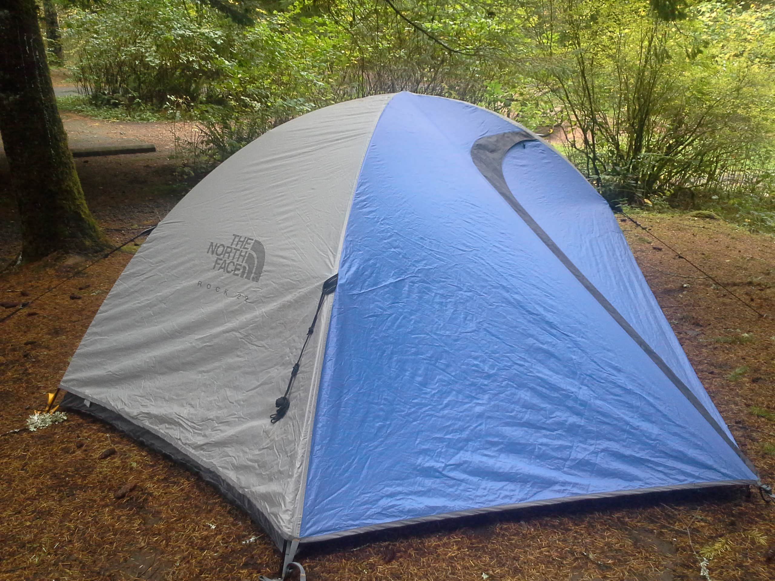 Amanda L.'s photo at Silver Falls State Park Campground near Lebanon, OR