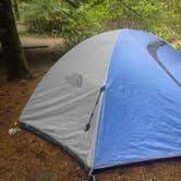 Review photo of Silver Falls State Park Campground by Amanda L., June 17, 2016