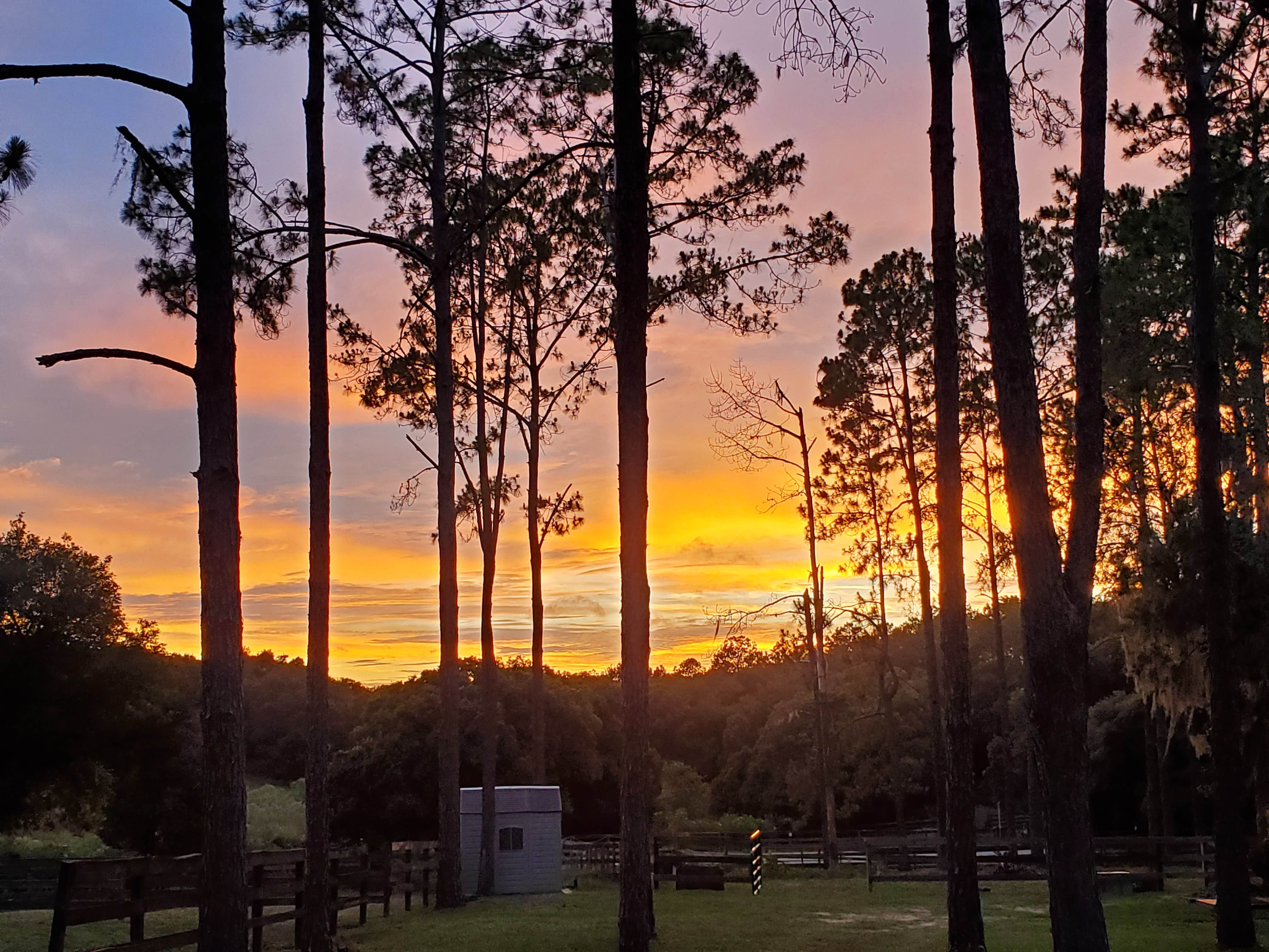 Fiddlers Green RV Ranch Altoona, FL