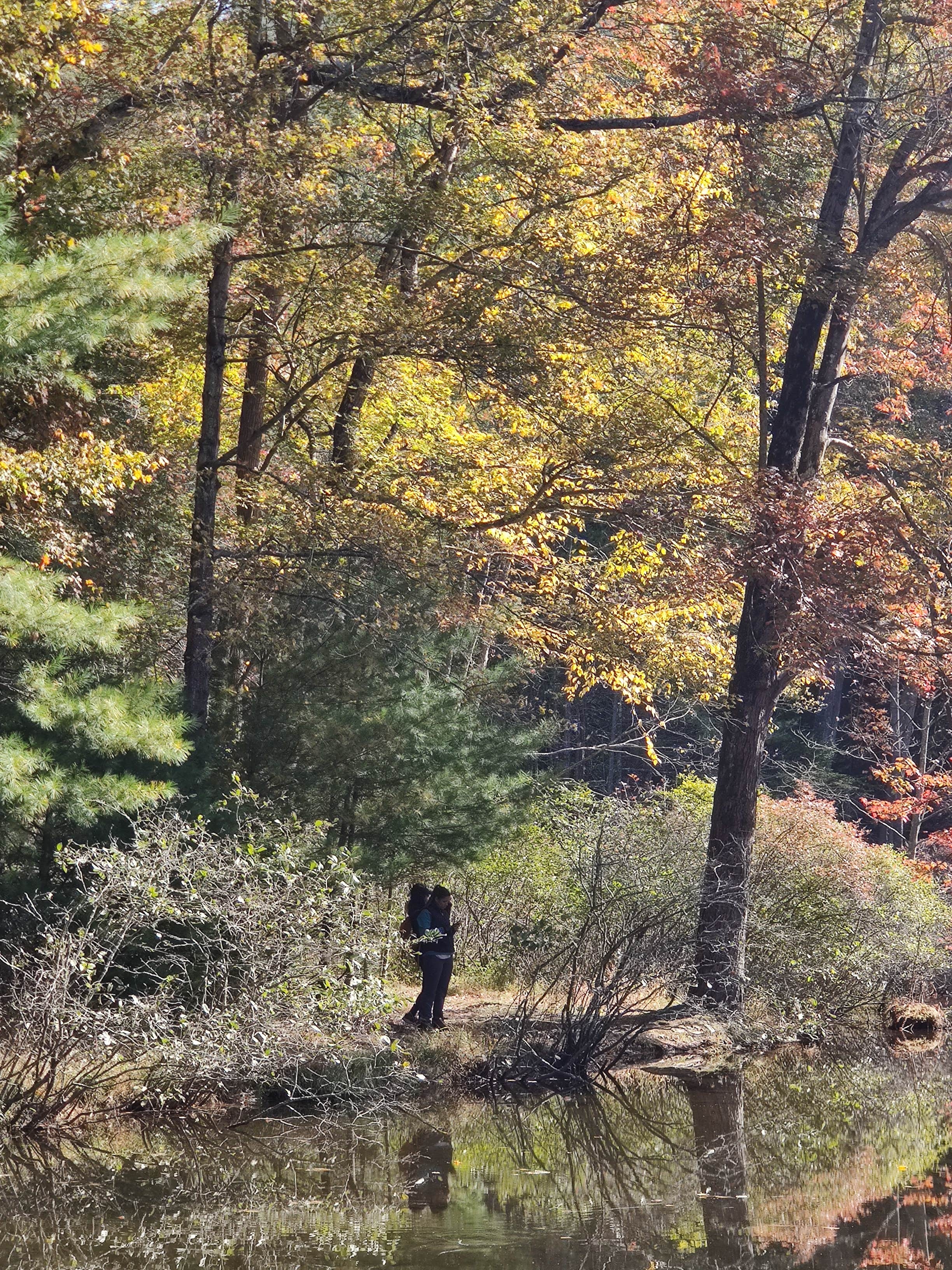 Camper submitted image from Caledonia State Park Campground - 2