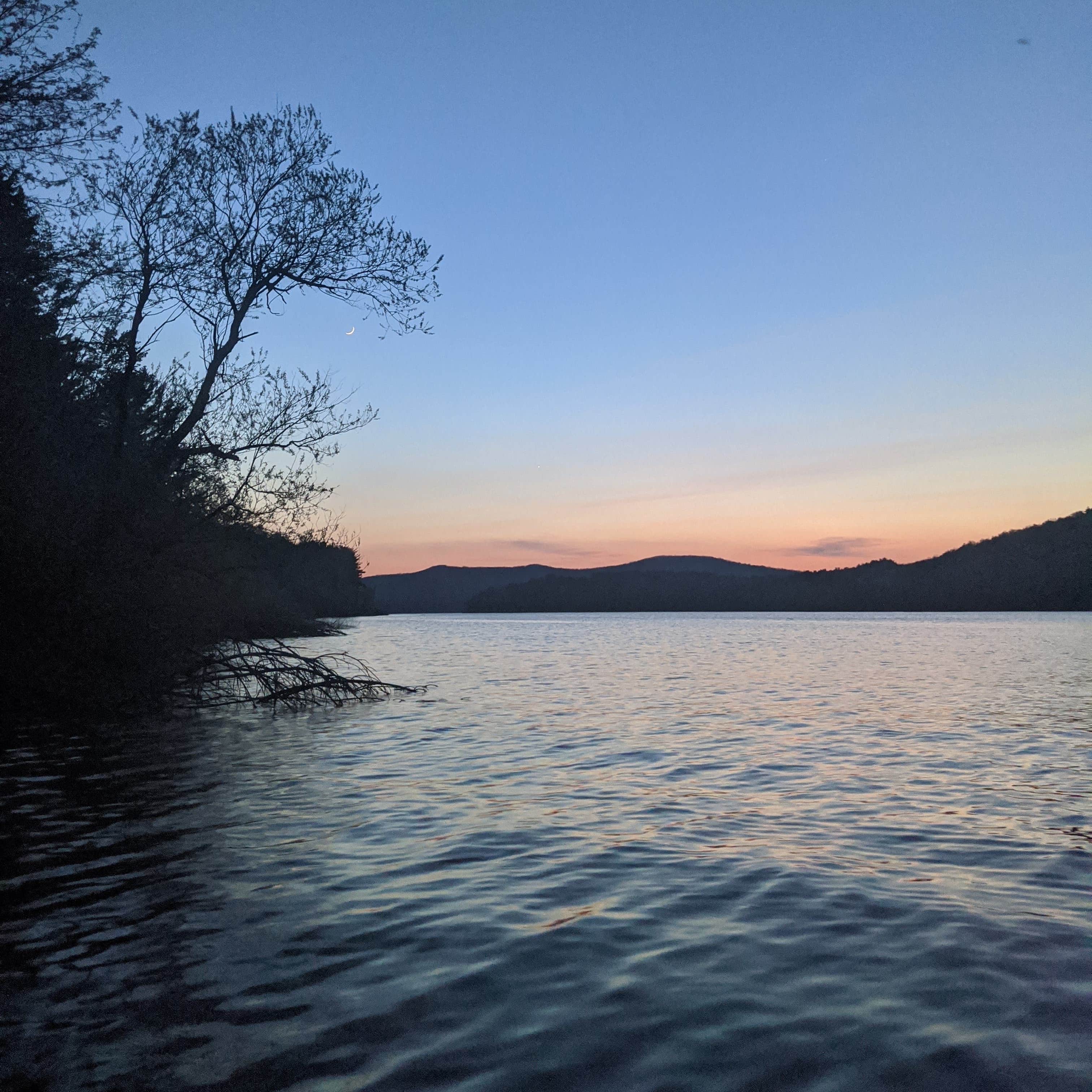 Willow Bay Recreation Area Camping The Dyrt