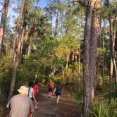 Review photo of Skidaway Island State Park Campground by Jerry F., May 27, 2020