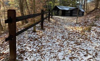 Sean C.'s photo of a cabin at Worlds End State Park Campground near Blossburg, PA