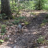 Review photo of Crazy Acres Campground at Beaver Spring Lake by Kelly J., May 27, 2020