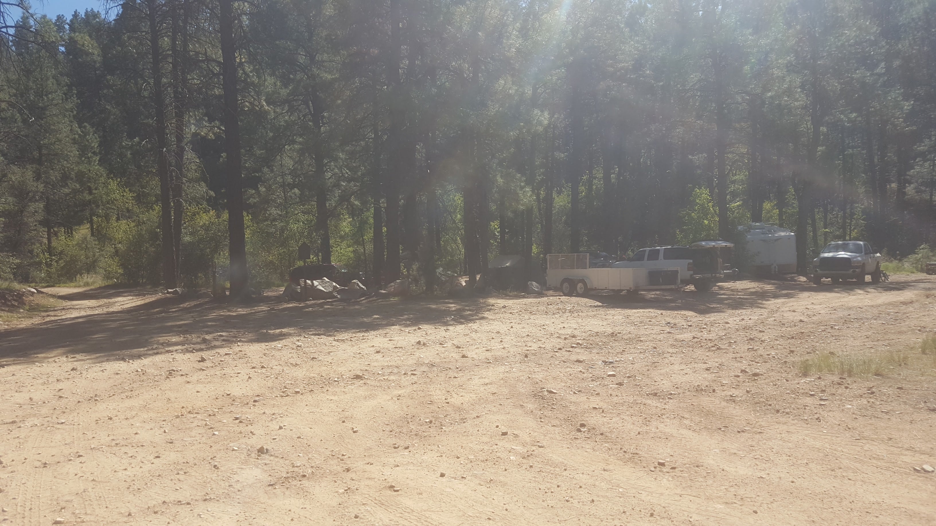 Camper submitted image from C101 Wolf Creek Road Dispersed Camping - 2