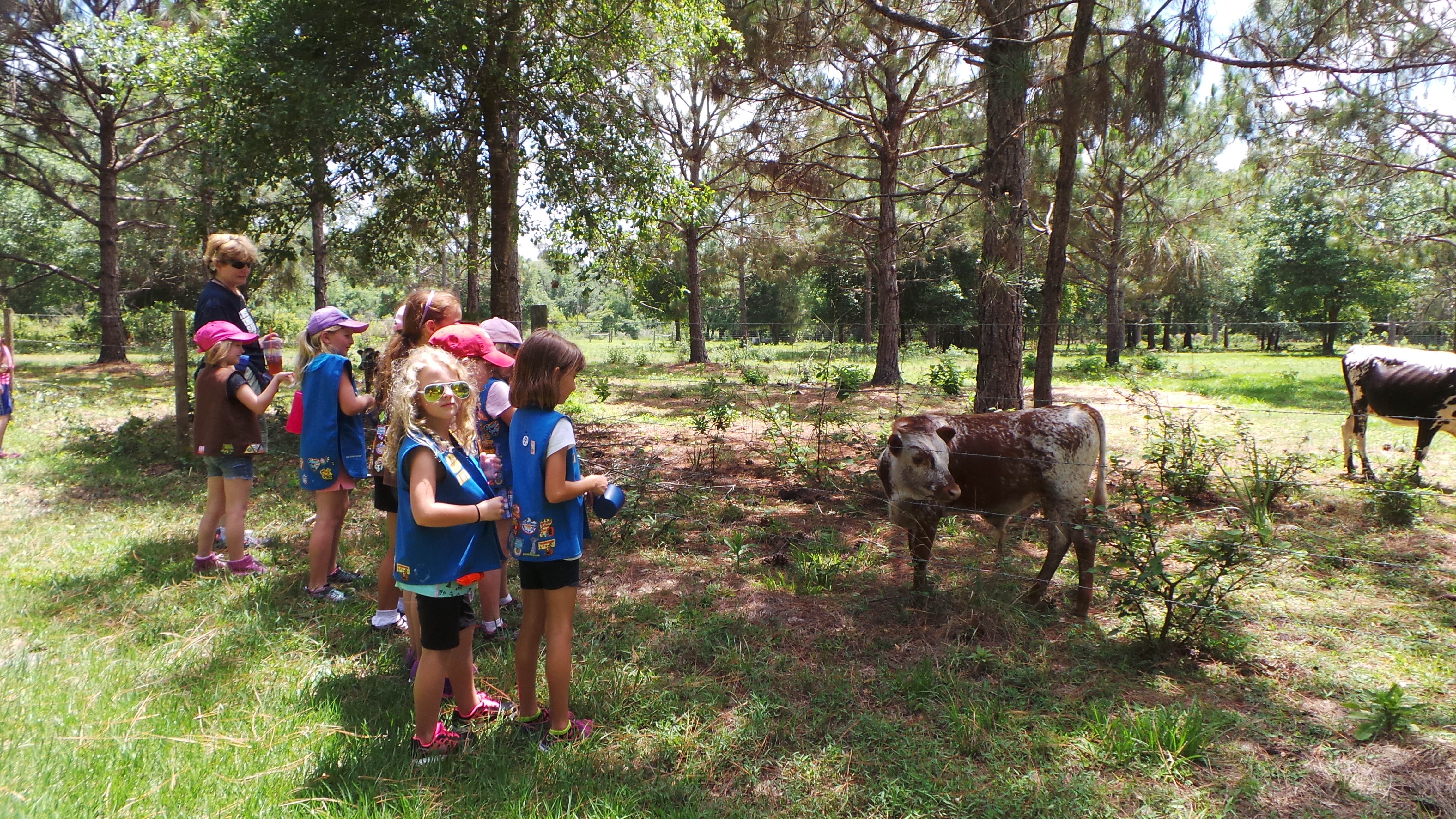 Camper submitted image from Crowley Museum and Nature Center Group Camp - 5